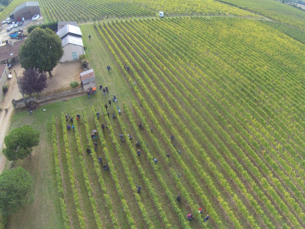 Ladies' Circle France - Angers - Vendanges 2019