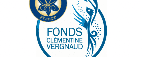 LOGO_FONDS_CLEMENTINE_VERGNAUD__LCF